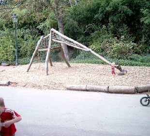 Giraffen - Spielplatz