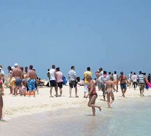 Paradise Island
