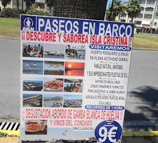 Spitzen Tour am Hafen