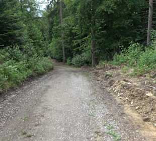 Schutzgebiet Spitzberg, Pfaffenberg