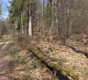 Geologischer Lehrpfad Kirnbachtal