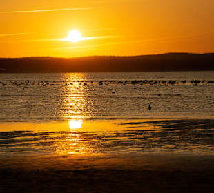 Strand Swinemünde/Swinoujscie