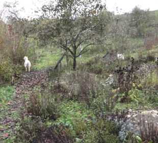 Umweltbildungszentrum Listhof