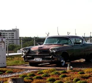 Ein Cadillac vom Schrottplatz