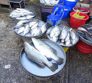 Auf dem Markt von Mahachai