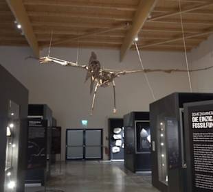 Dinosaurier Museum Altmühltal