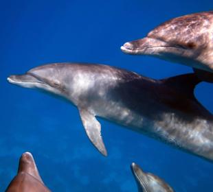 Bilder vom 13.10.16 von mir geschossen