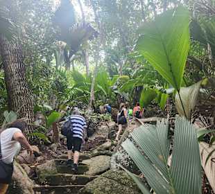 Die Treppen (700 Stufen oder so)
