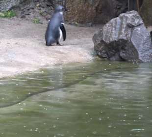 Tierpark