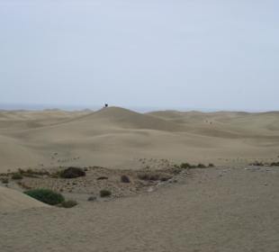 In den Dünen oder doch Wüste?