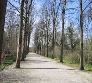Schlossgarten Schwetzingen