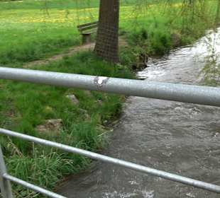 Eiszeitpfad - Burgfelsenpfad