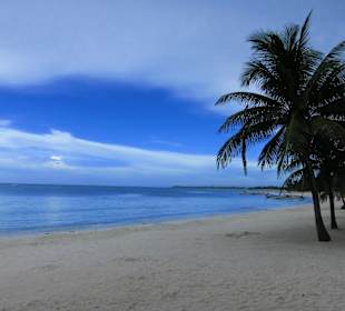 Strand in Akumal (Schildkrötenschnorcheln)