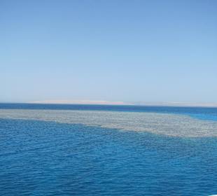 Ein Blick auf ein Riff