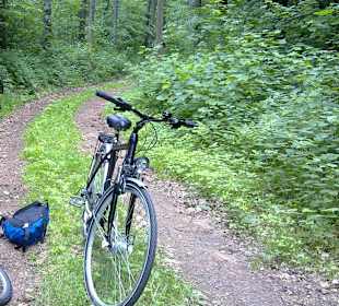 Skulpturenweg Rheinland-Pfalz in Rheinland-Pfalz
