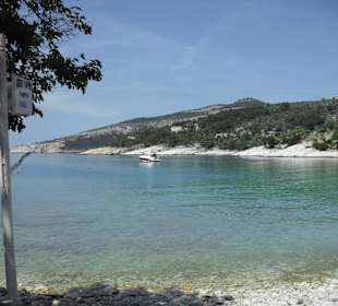 Aliki