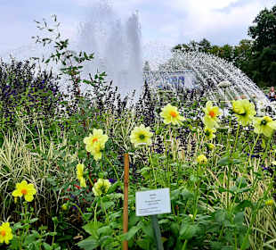 Wandern Friedrichroda