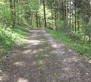 Wandergebiet Liebfrauental
