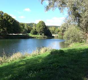 Schaukelweg an der Donau