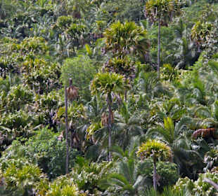 Aussicht von der Schutzhütte