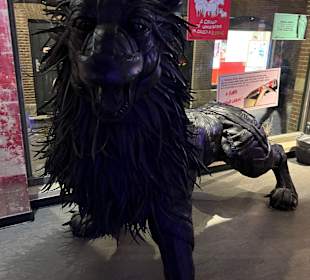 Museum Ripley's Believe It or Not!