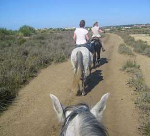 Reiten durch die Dünenlandschaft