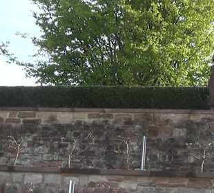 Murgpark Rastatt