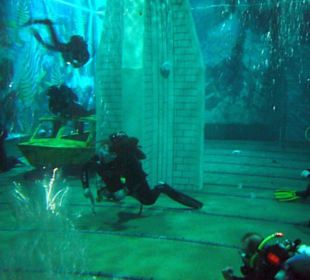 Blick in eines der Tauchbecken