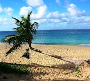 Happy Bay, nur zu Fuss zu erreichen oder mit Boot