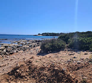 Ses Covetes in Sa Rapita