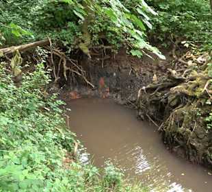 Rundwanderung Klingenbachtal - Sulzbachsee