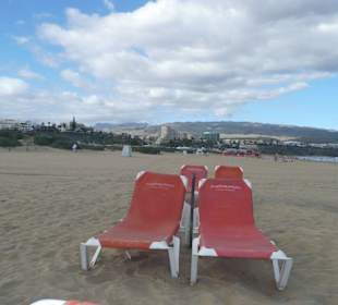 Wir warten auf Sonnenanbeter