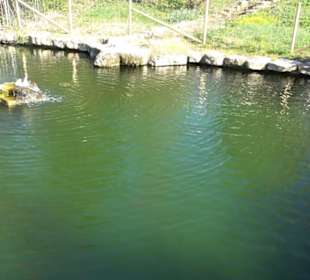 Panorama Therme Beuren