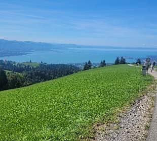 Wandern Bregenz