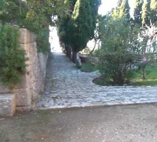 Garten "Turm der Araber"