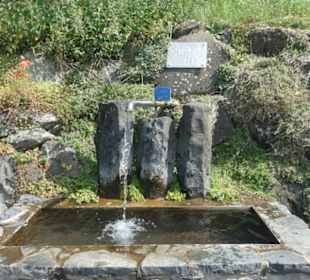 Bei der Rundwanderung Extratour Kuppenweg