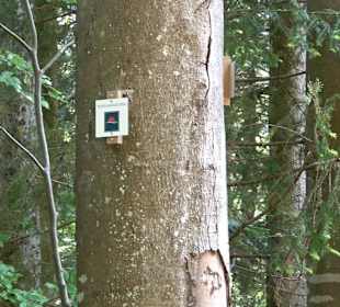 Teufelskanzelsteig Bad Griesbach