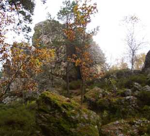 Naturschutzgebiet Großer Pfahl