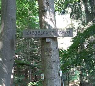 Premiumspazierweg Früchtetrauf-Leisawegle
