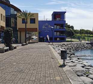Yachthafen Calheta