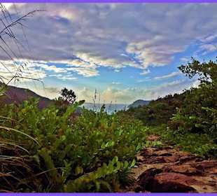Einer von vielen Wanderwegen