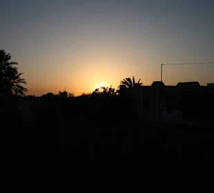 Landschaft