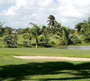 Spaziergang über den Platz