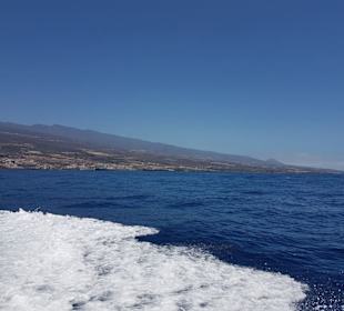 Puerto de Santiago. 