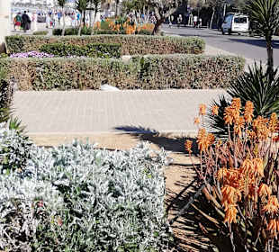 Strandpromenade Playa/Platja de Palma