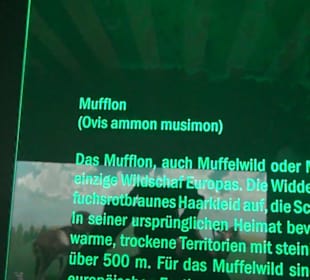 Jagdtier + Vogelkunde