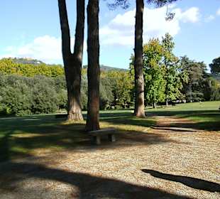 Park in Montecatini Terme