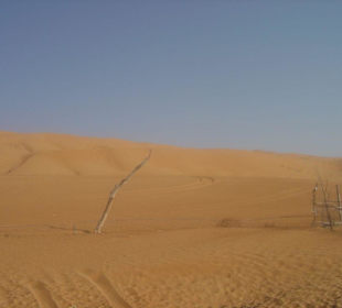 Wüstenausflug