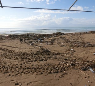 ..alles Strandgut wird 