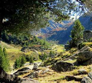 Romantik kurz vor der Alm